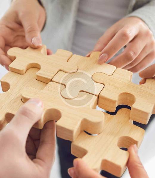 home3-image3-copyright